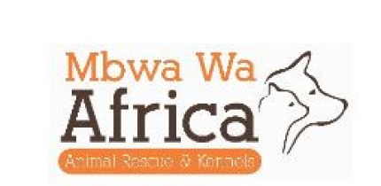 Mbwa wa Africa