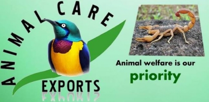 Animal Care Exports