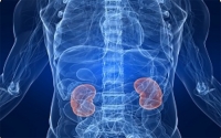 Figo Kushindwa Kufanya Kazi (Renal/Kidney Failure)